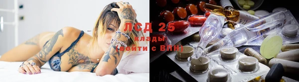 бошки Гусев